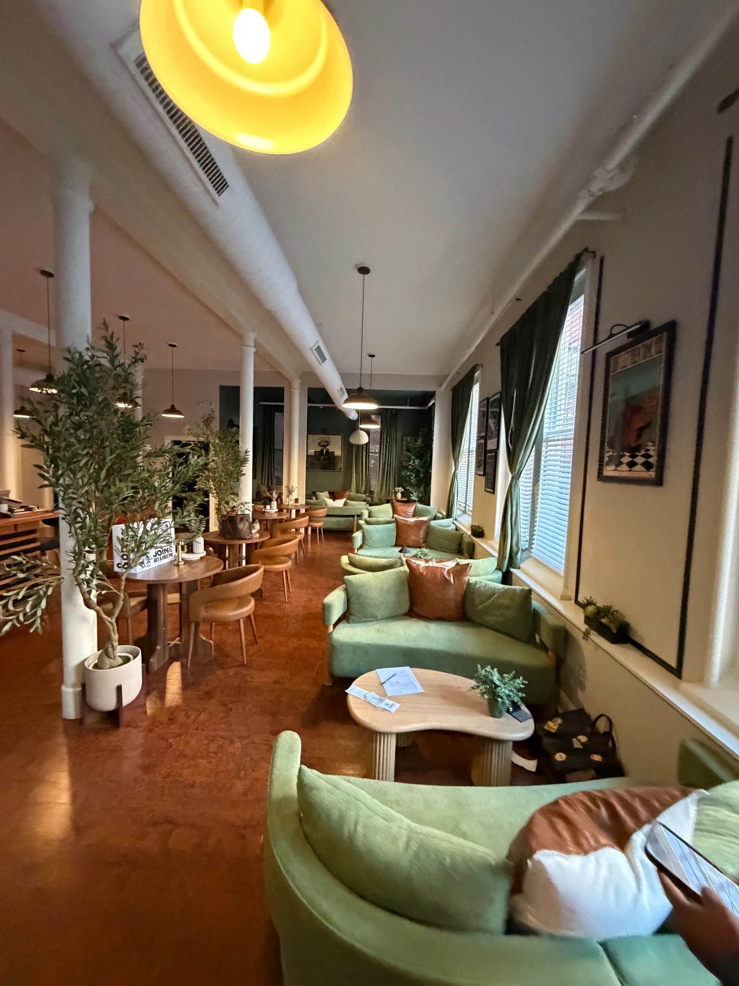 The seating area with sage green couches, olive trees and warm pendant light